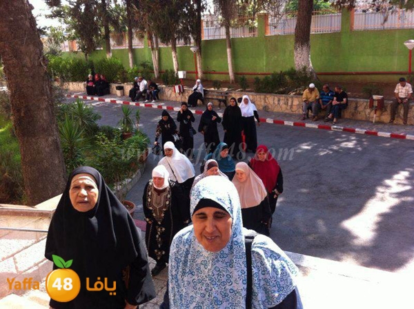 maqased bayareq (4).JPG